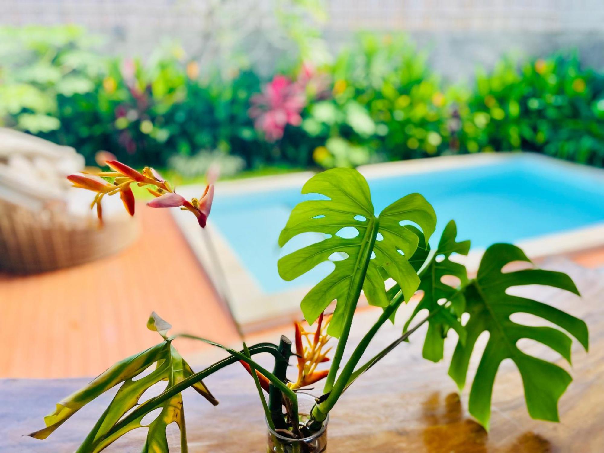 Searra - Ocean Breeze Hideaway Homestay
